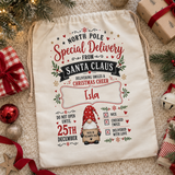 North Pole Delivery Sack