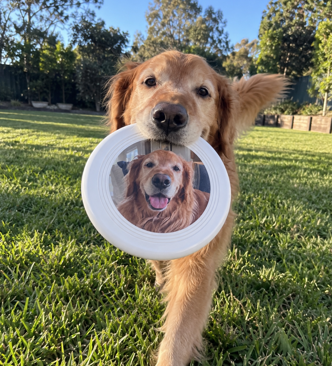 Personalised Pet Photo Frisbee