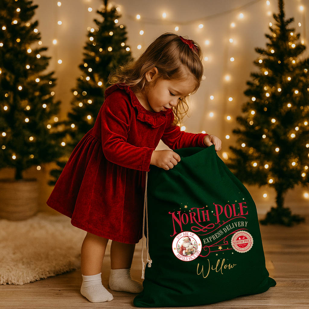 EXPRESS DELIVERY SANTA SACK