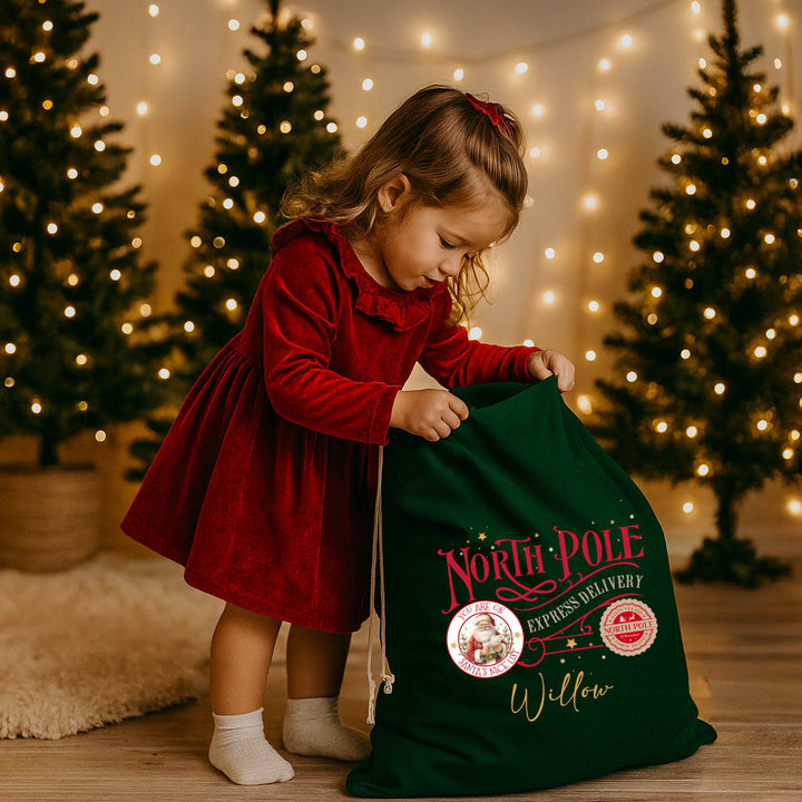 EXPRESS DELIVERY SANTA SACK
