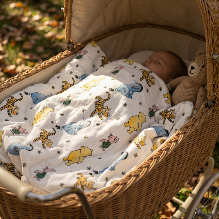 Classic Winnie The Pooh Blanket (Non-Personalised)