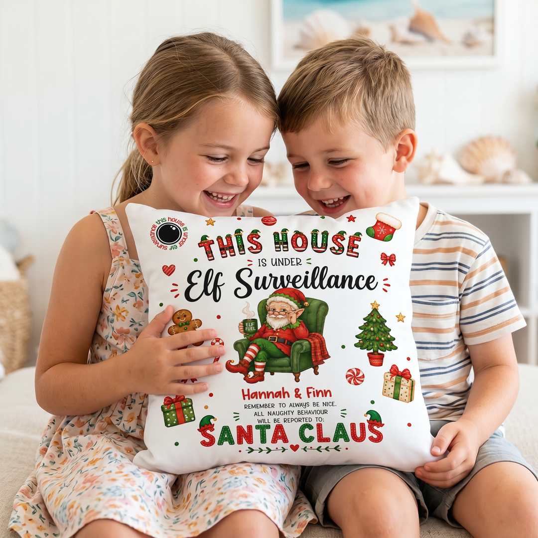 Elf Surveillance Cushion