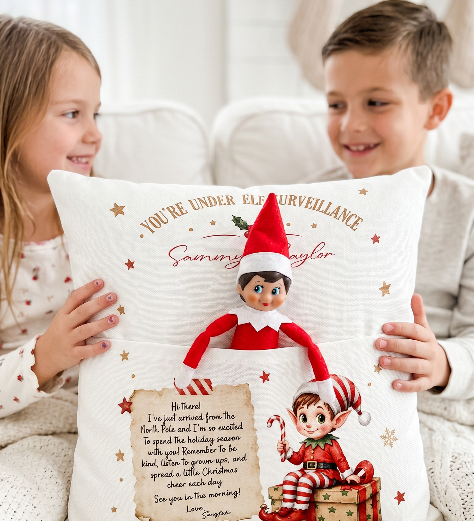 Elf Surveillance Pocket Cushion