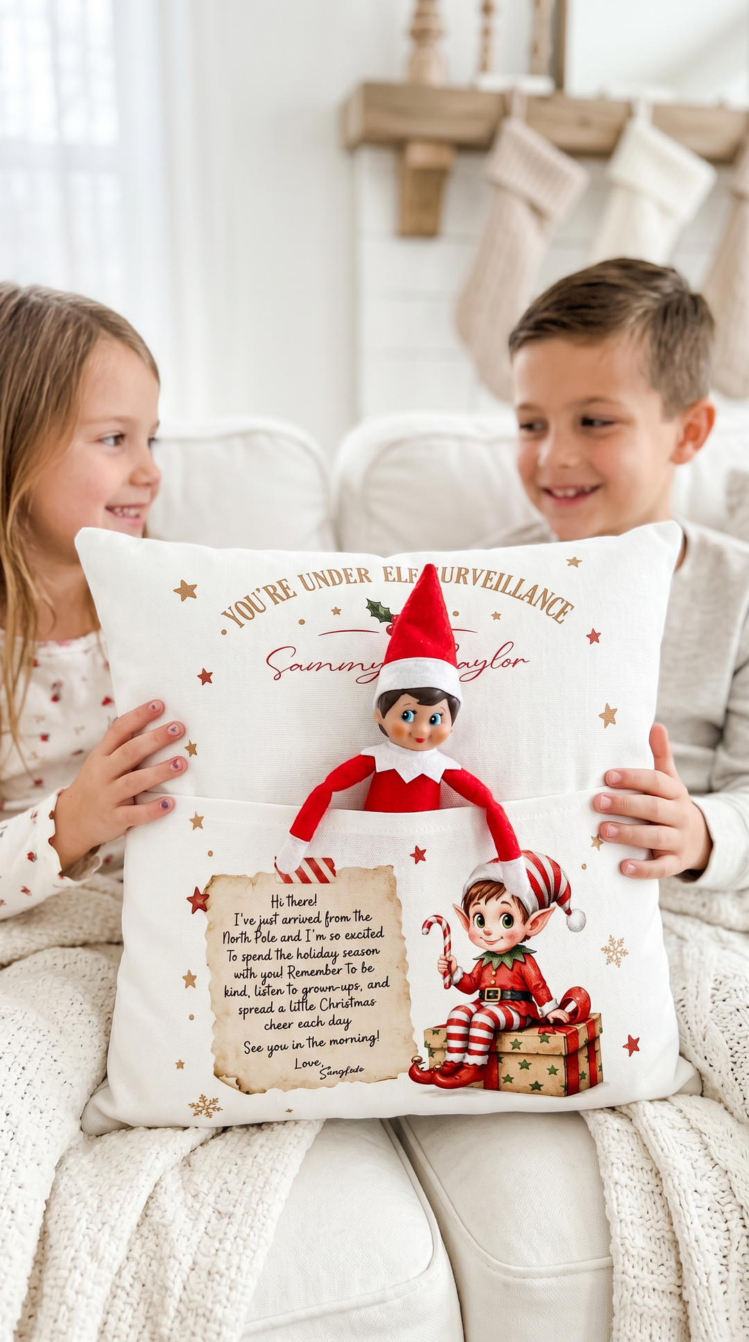 Elf Surveillance Pocket Cushion
