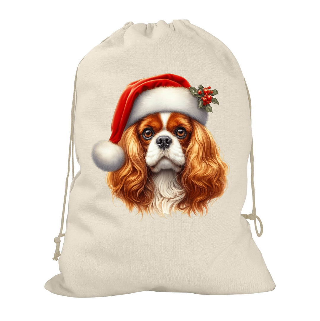 Personalised Dog Santa Sack – Custom Pet & Name