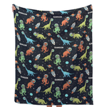 dinosaur blanket